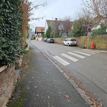 Holiday home Le Standing Bennwihr